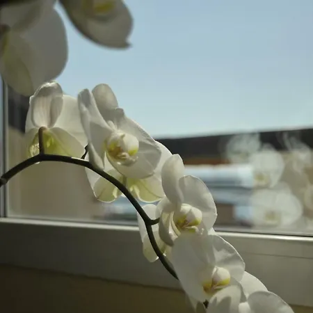 Maison Du Port Vieux *