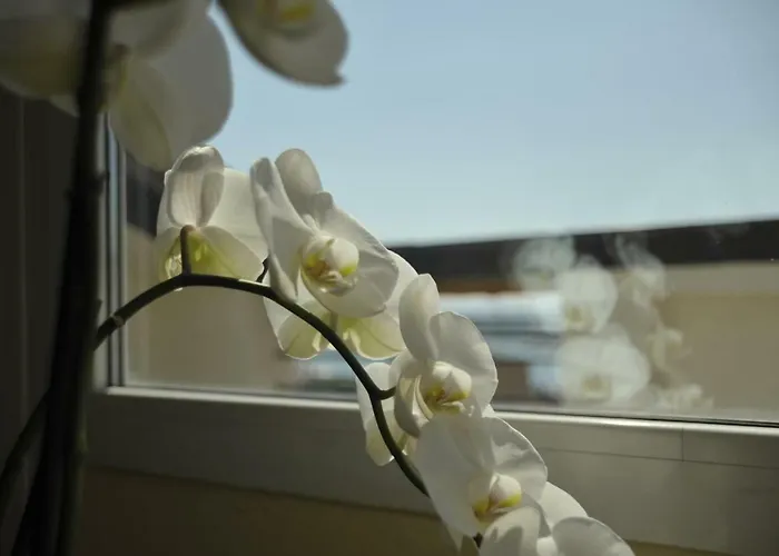 Maison Du Port Vieux *